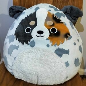 Squishmallows Original Raylor The Australian Shepherd